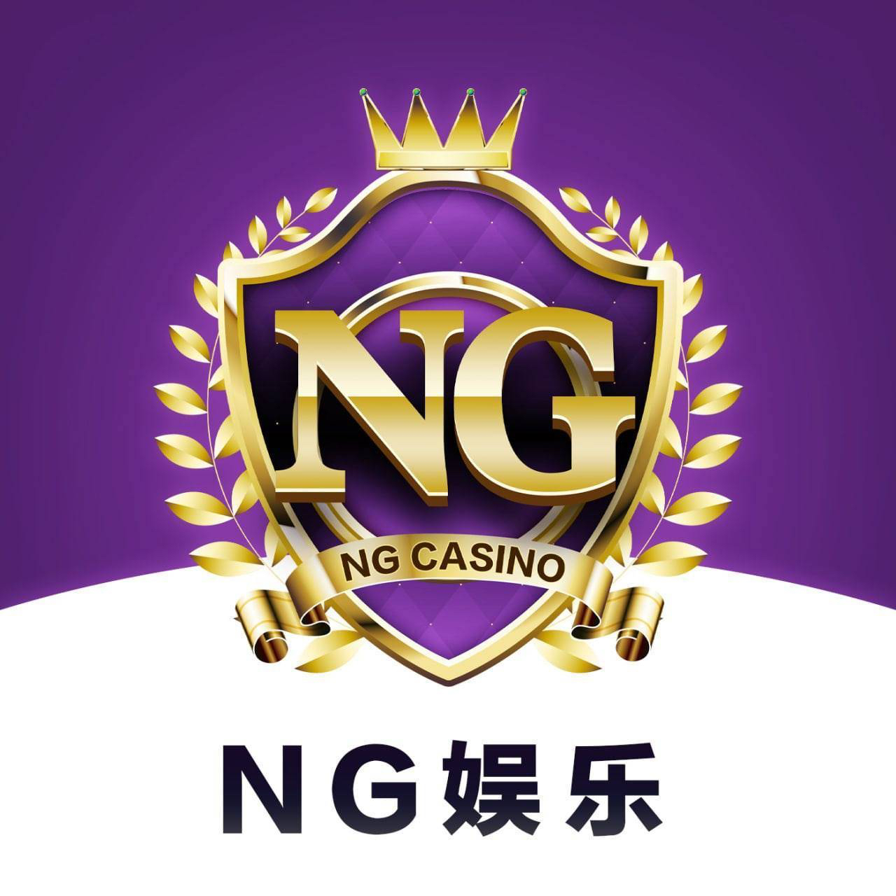 NG国际横幅